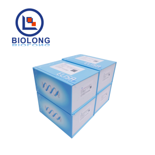 Biolonase核酸酶残留检测试剂盒（Ⅱ）（编号：BLE001-2A）