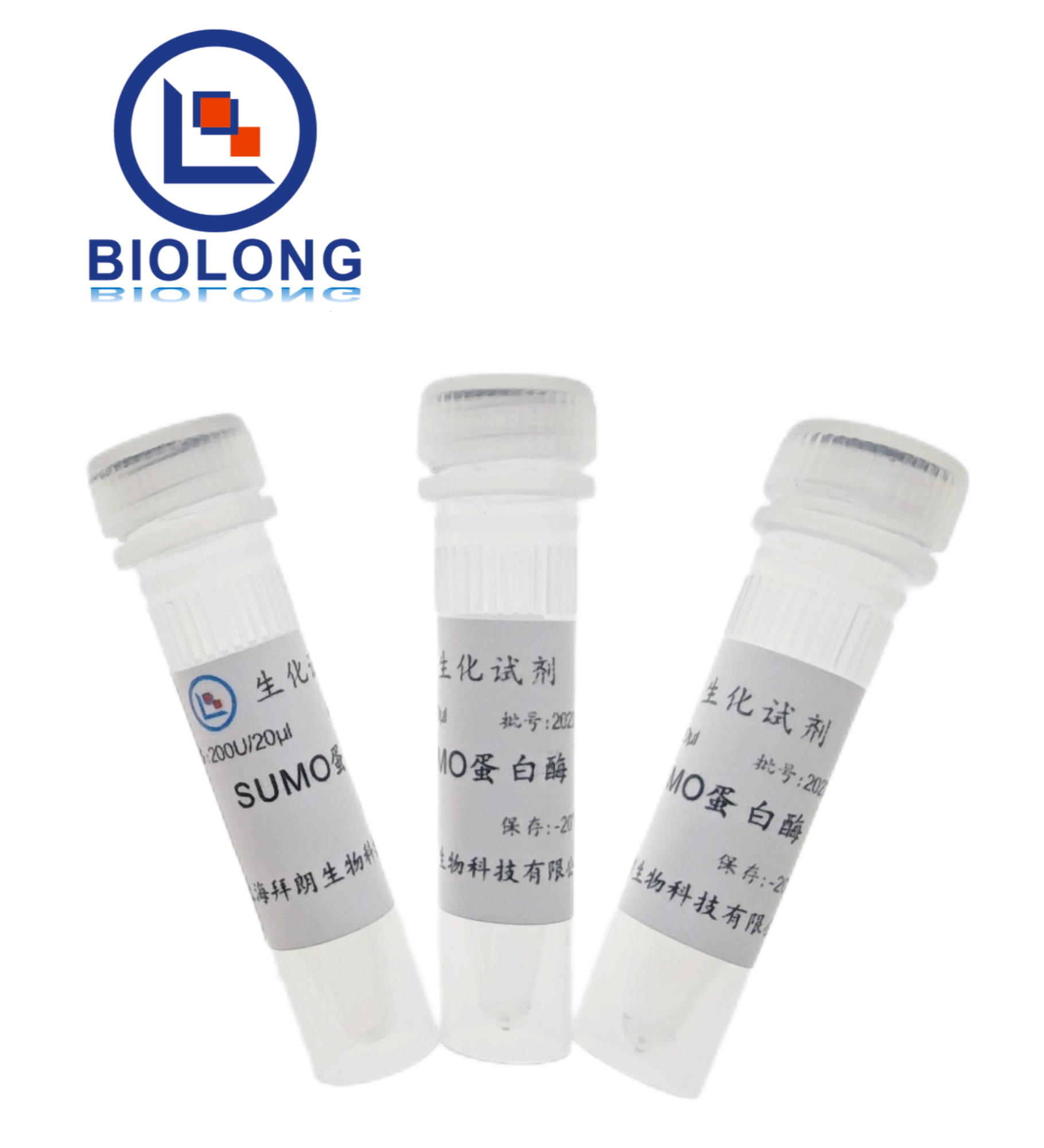 SUMO蛋白酶（编号：BLE028-1B） - 1