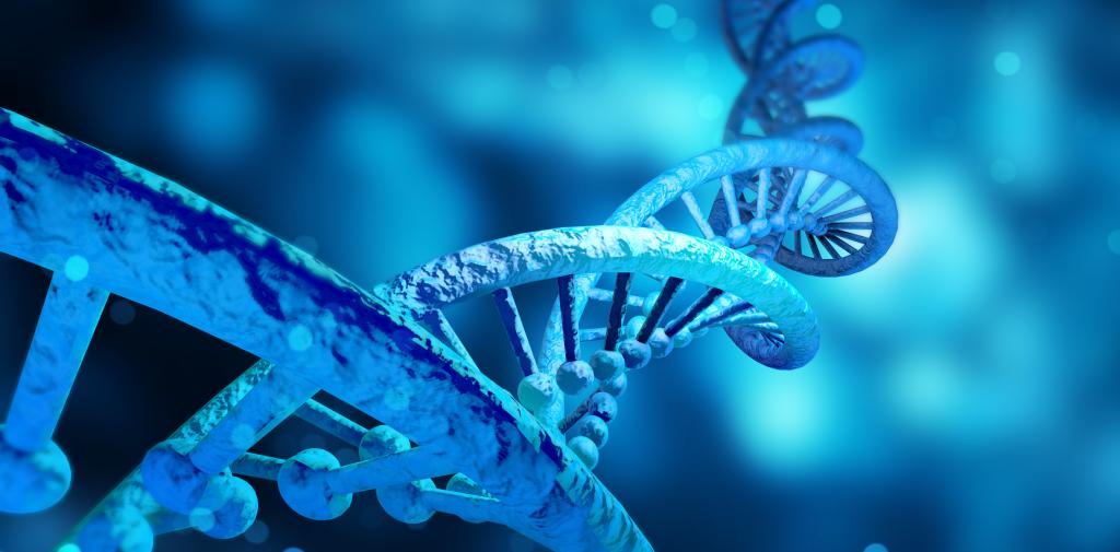 硫酸软骨素ABC、AC、B酶